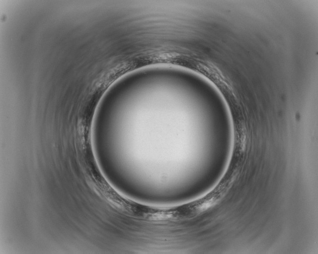 X0000086780366200704131220