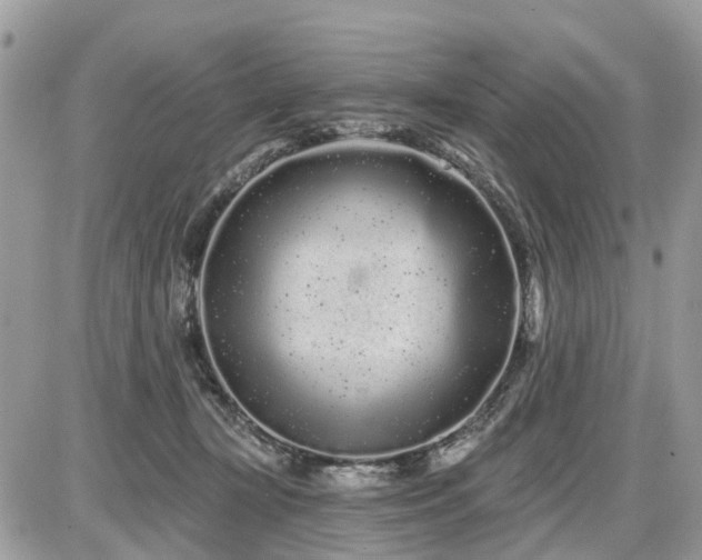 X0000086780367200704131220