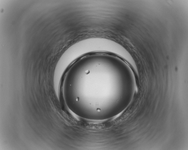 X0000086780368200704131220