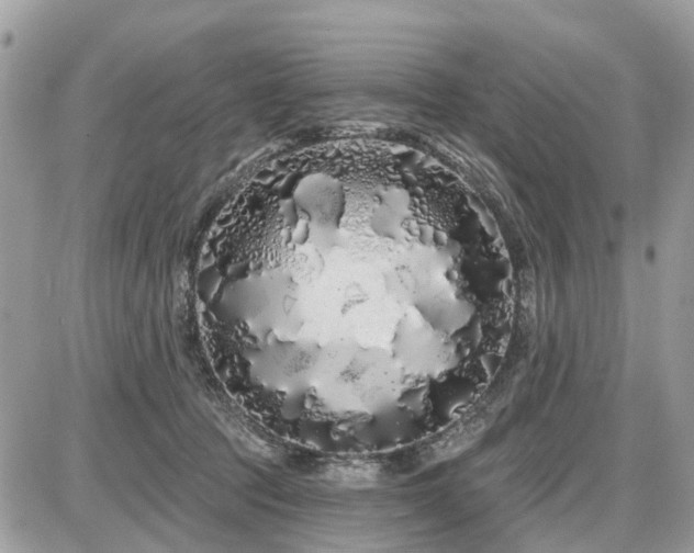 X0000086780369200704131220