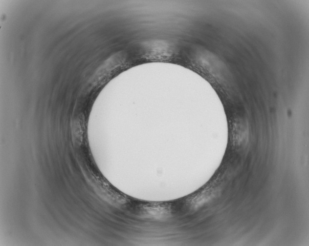 X0000086780370200704131220