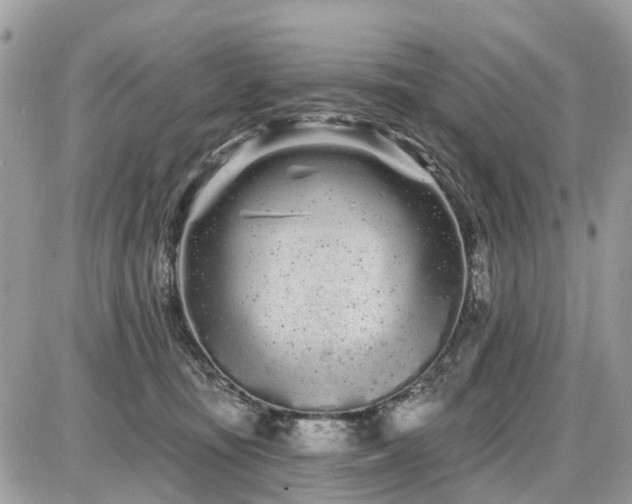 X0000086780371200704131220