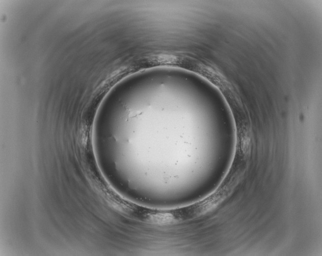 X0000086780374200704131220