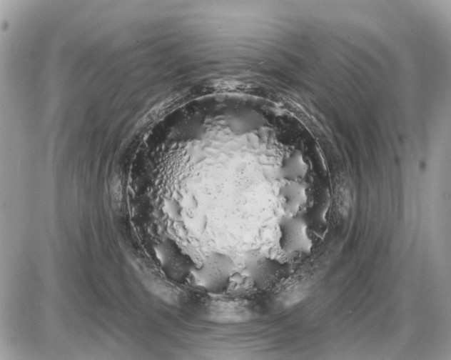 X0000086780375200704131220