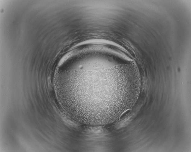 X0000086780377200704131220