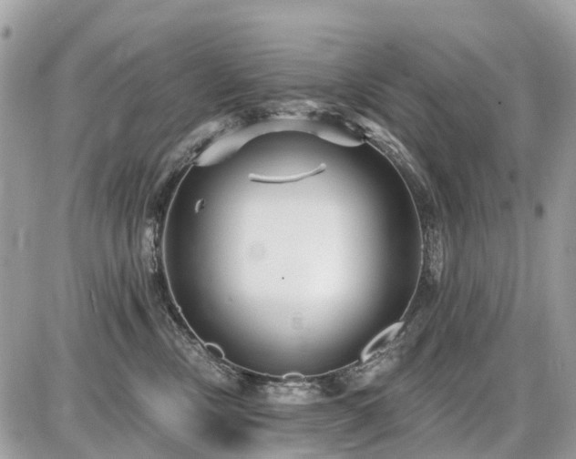 X0000086780378200704131220