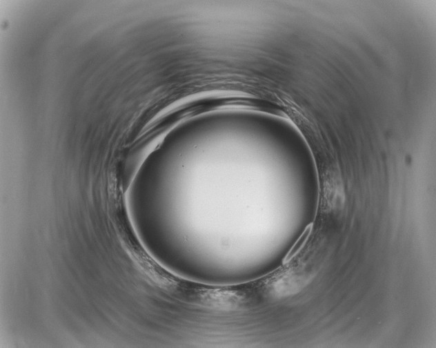 X0000086780379200704131220