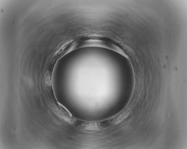 X0000086780384200704131220