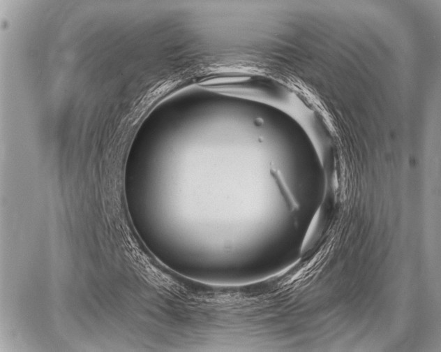 X0000086780385200704131220