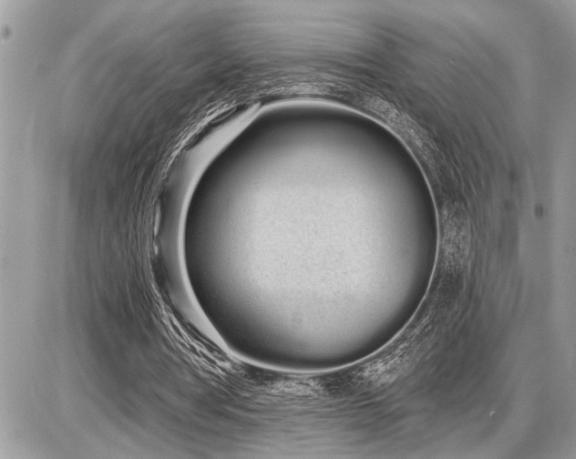 X0000086780386200704131220