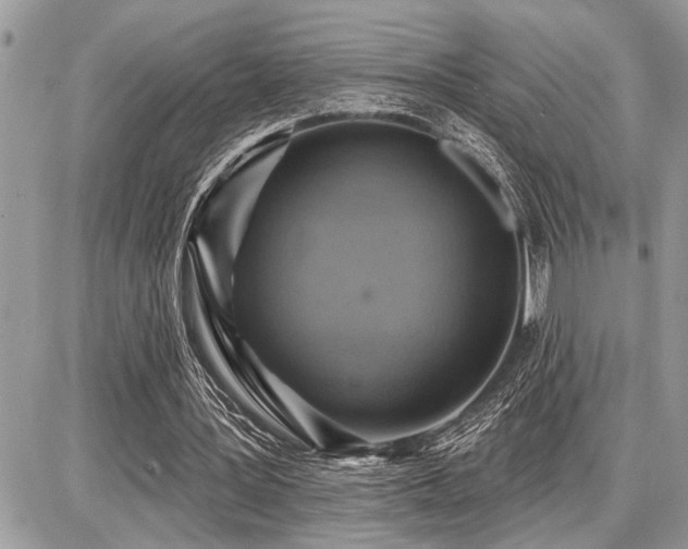 X0000086780387200704131220