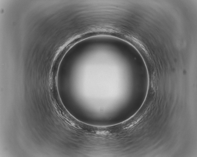 X0000086780388200704131220