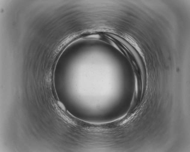 X0000086780389200704131220