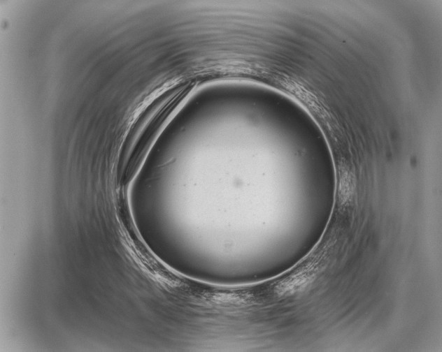 X0000086780390200704131220