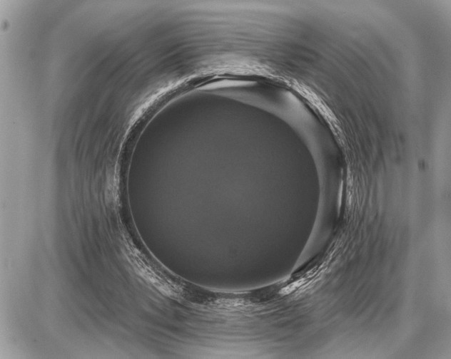 X0000086780391200704131220