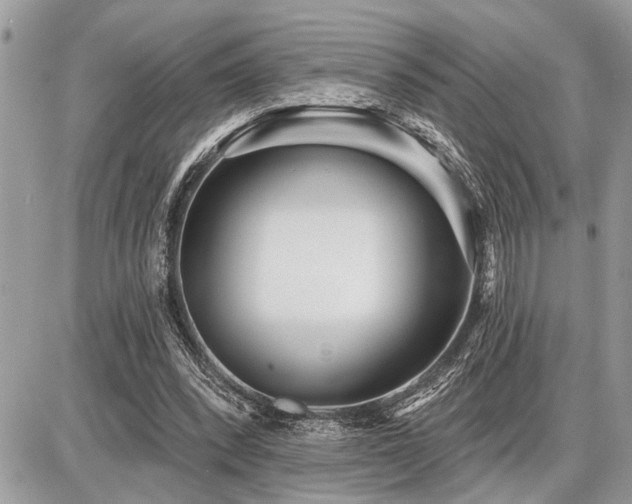 X0000086780392200704131220