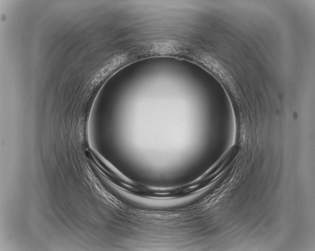 X0000086780393200704131220