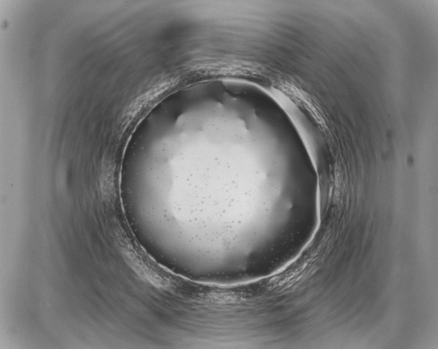 X0000086780394200704131220