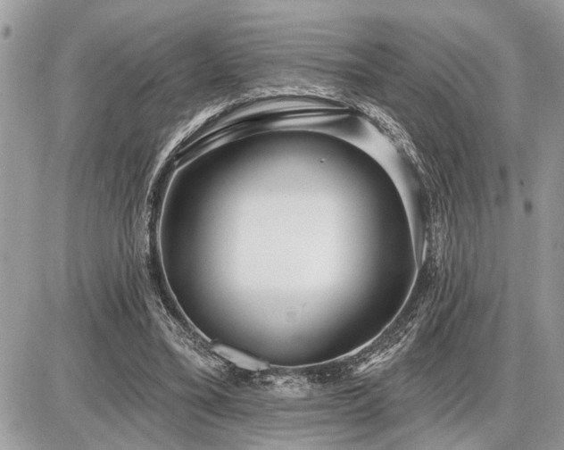 X0000086780395200704131220