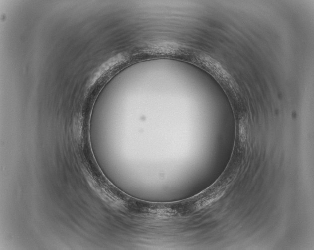 X0000086780396200704131219