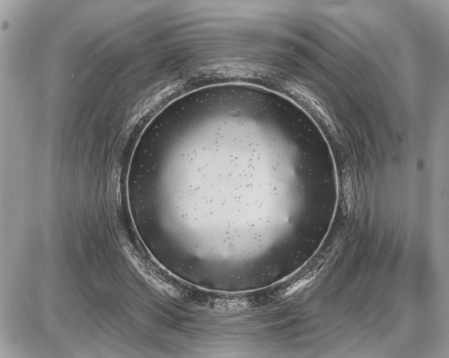 X0000086780398200704131219