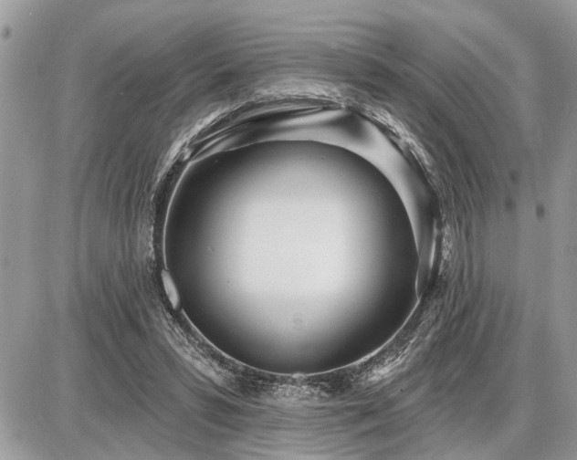 X0000086780399200704131219