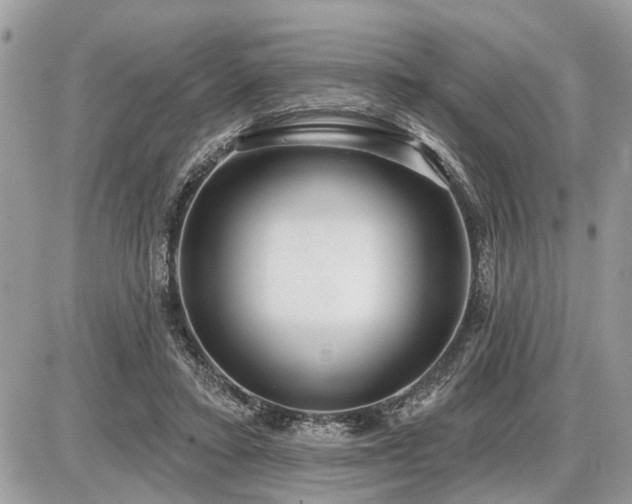 X0000086780403200704131219