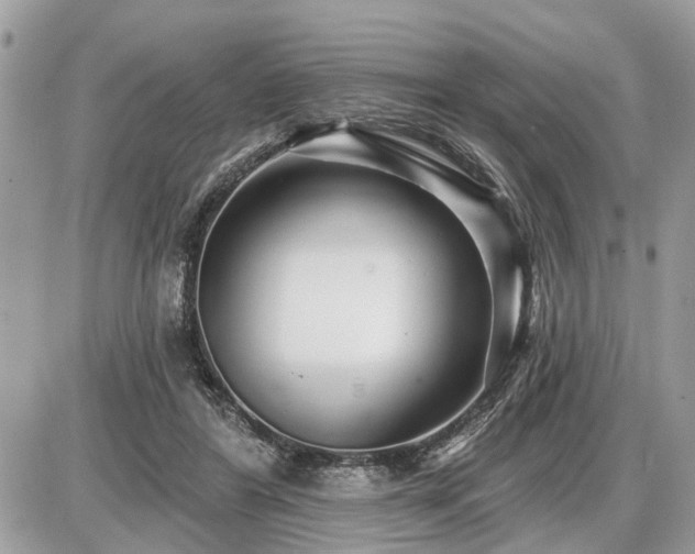 X0000086780404200704131219