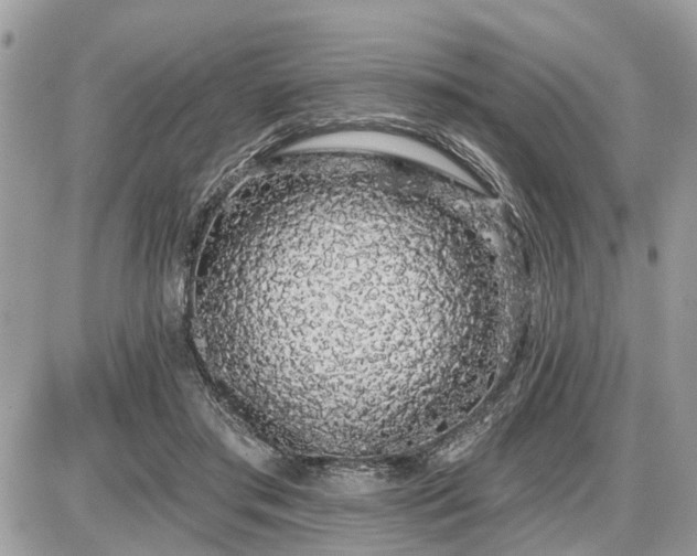 X0000086780405200704131219