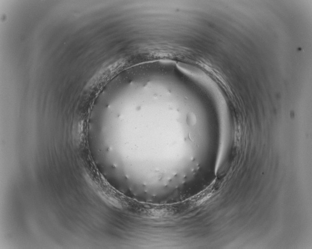 X0000086780406200704131219