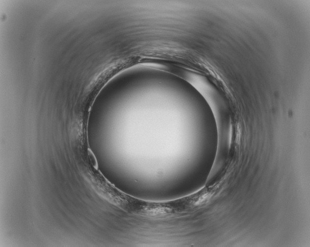 X0000086780407200704131219