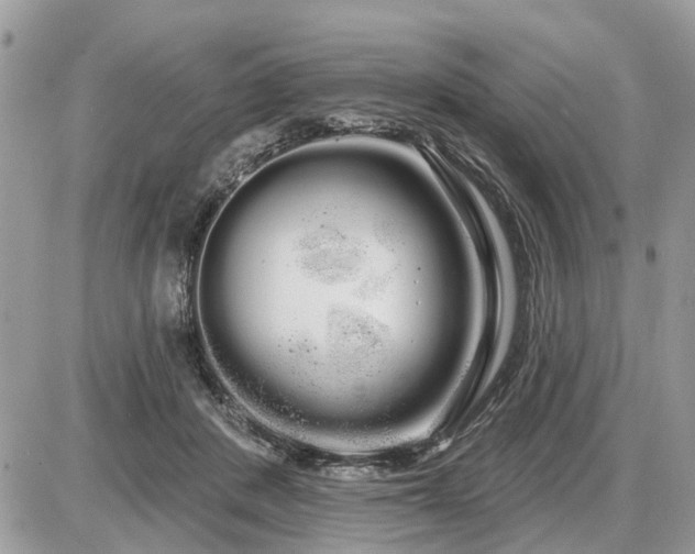 X0000086780408200704131219