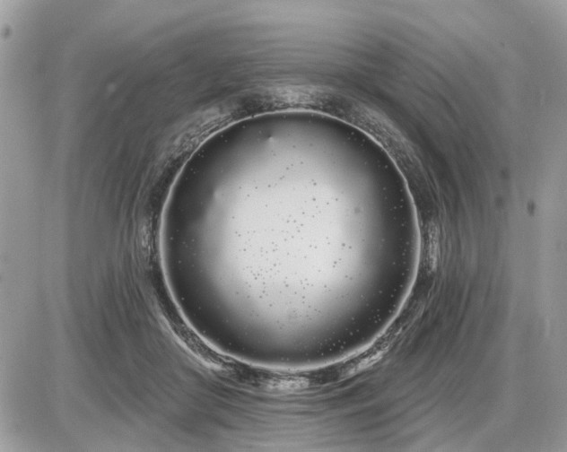 X0000086780410200704131219