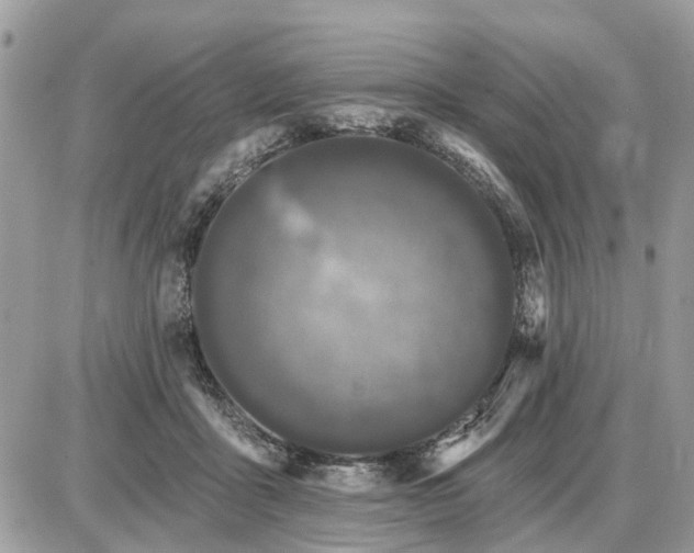 X0000086780411200704131219