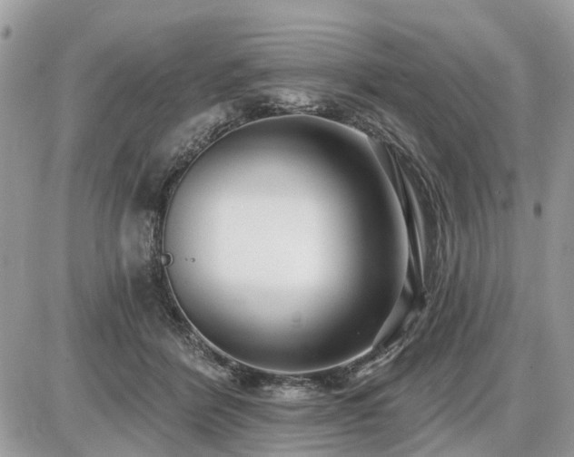 X0000086780412200704131219