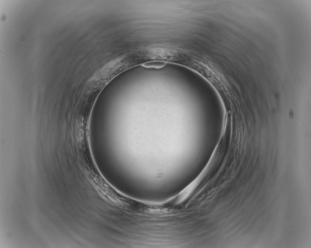 X0000086780413200704131219