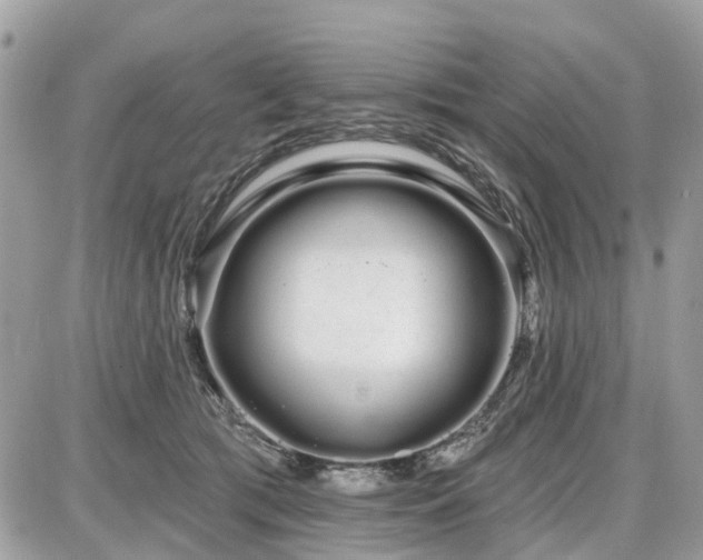 X0000086780417200704131219