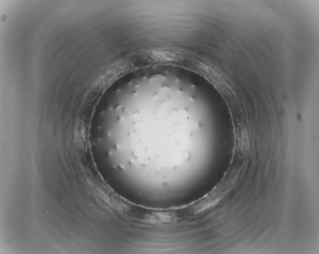 X0000086780418200704131219