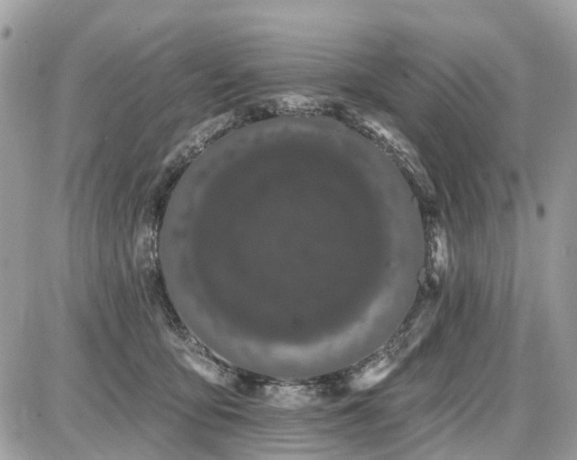 X0000086780419200704131219