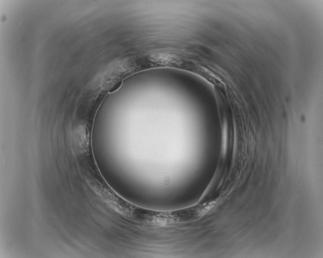 X0000086780420200704131219