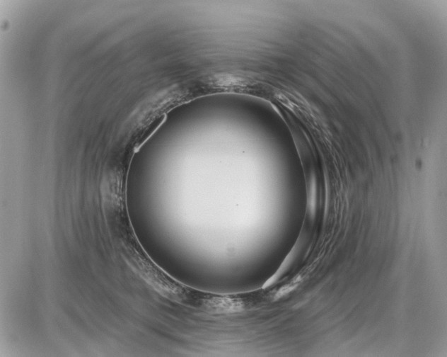 X0000086780421200704131219