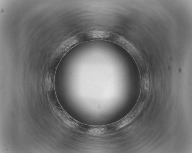 X0000086780422200704131219