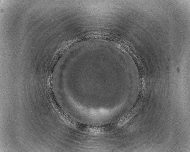 X0000086780423200704131219