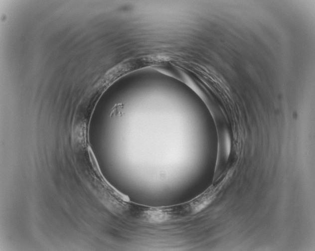 X0000086780425200704131219