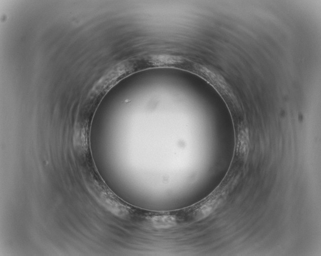 X0000086780426200704131219