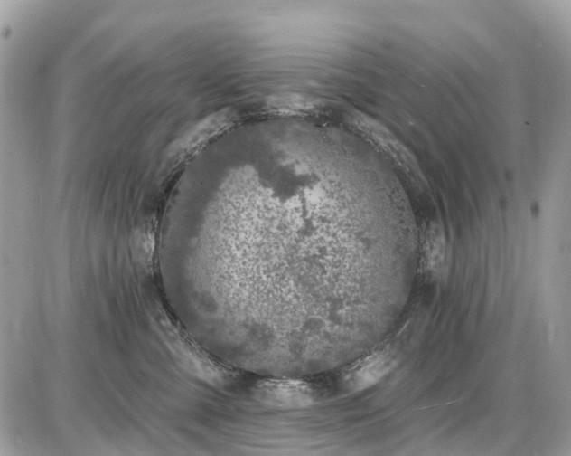 X0000086780427200704131219