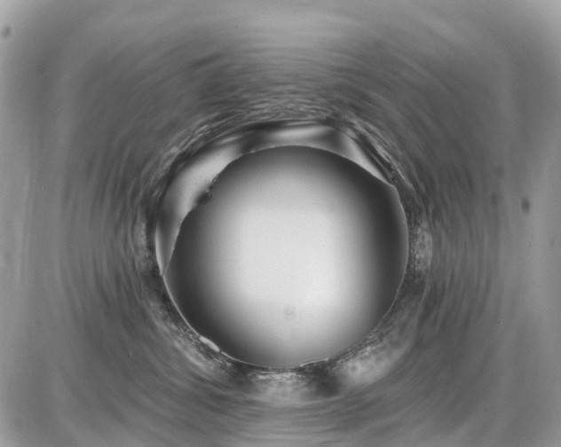 X0000086780428200704131219