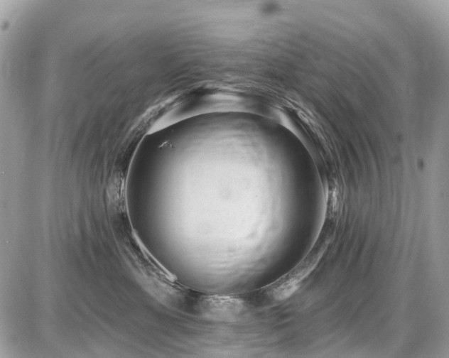 X0000086780429200704131219