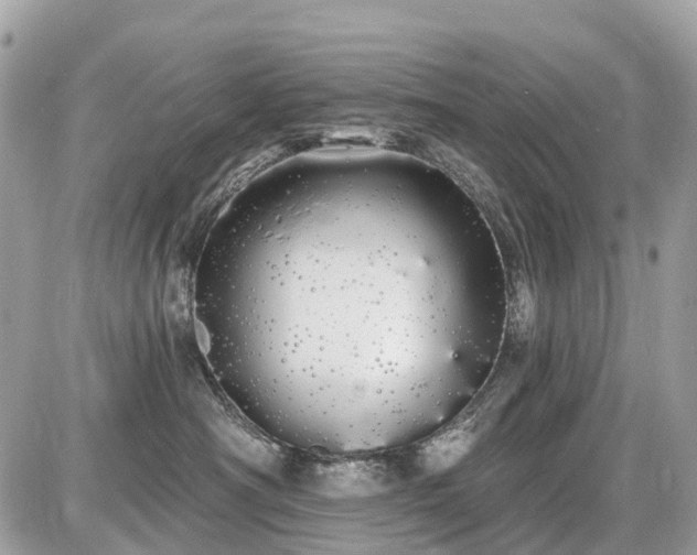 X0000086780430200704131219