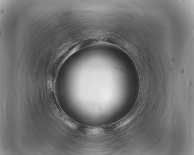 X0000086780432200704131219